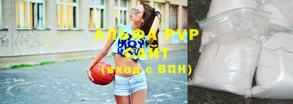 гашик Нея