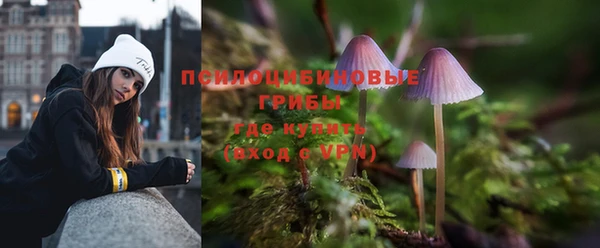 МДПВ Нефтекумск