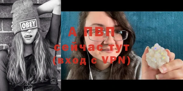 гашик Нея