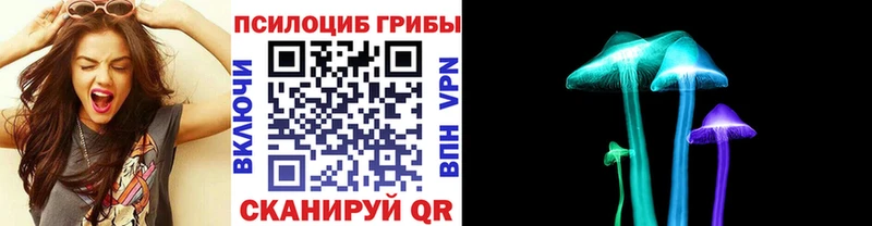 Купить где  Исилькуль  Галлюциногенные грибы мухоморы 
