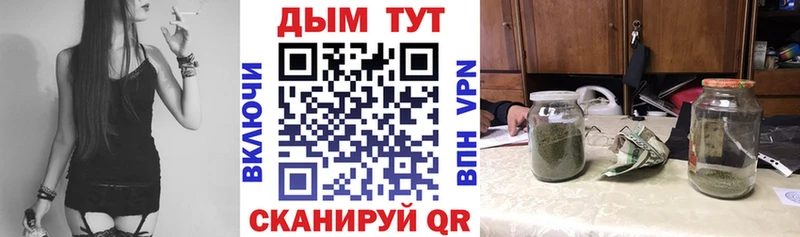 Купить  Исилькуль  Канабис семена 